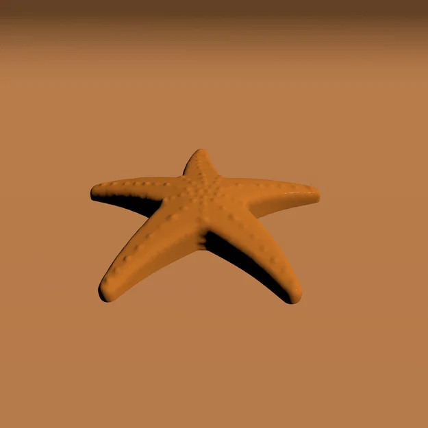 Mô hình sao biển (SeaStar) - Đồ chơi in 3D dễ thương cho bé - Image 2