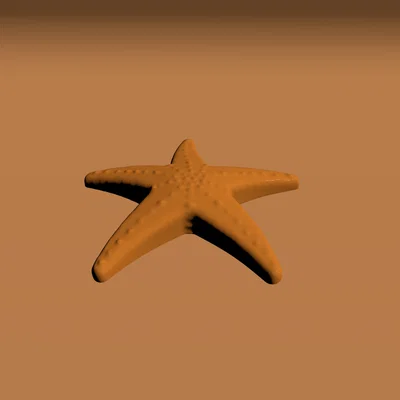 Mô hình sao biển (SeaStar) - Đồ chơi in 3D dễ thương cho bé