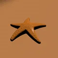 Mô hình sao biển (SeaStar) - Đồ chơi in 3D dễ thương cho bé - Thumbnail 3