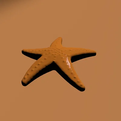 Mô hình sao biển (SeaStar) - Đồ chơi in 3D dễ thương cho bé