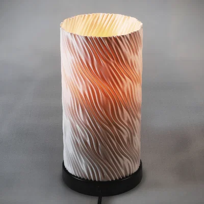 Chụp đèn xoắn gợn sóng (Helical waves lamp shade)