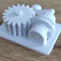 Bộ Truyền Trục Vít (Worm Gear Drive) - Test Print-in-Place - Thumbnail 1