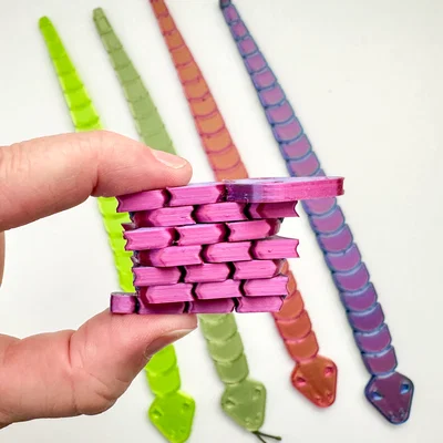 Stretchy Snake – Rắn co giãn