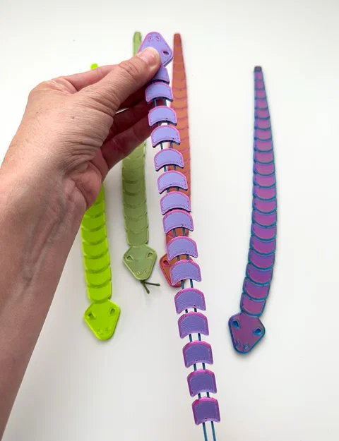 Stretchy Snake – Rắn co giãn - Image 4