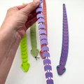 Stretchy Snake – Rắn co giãn - Thumbnail 4