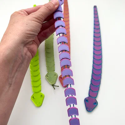 Stretchy Snake – Rắn co giãn