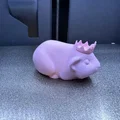 Chuột lang (đội vương miện) - Thumbnail 3