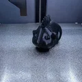 Chuột Guinea (tóc Mohawk dựng nhọn) - Thumbnail 3