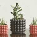Chậu Cây Họa Tiết Bong Bóng Độc Đáo - Plant Pot with Bubbles - Thumbnail 1