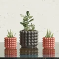 Chậu Cây Họa Tiết Bong Bóng Độc Đáo - Plant Pot with Bubbles - Thumbnail 3