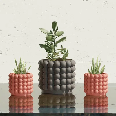 Chậu Cây Họa Tiết Bong Bóng Độc Đáo - Plant Pot with Bubbles