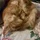 theggenes_192957