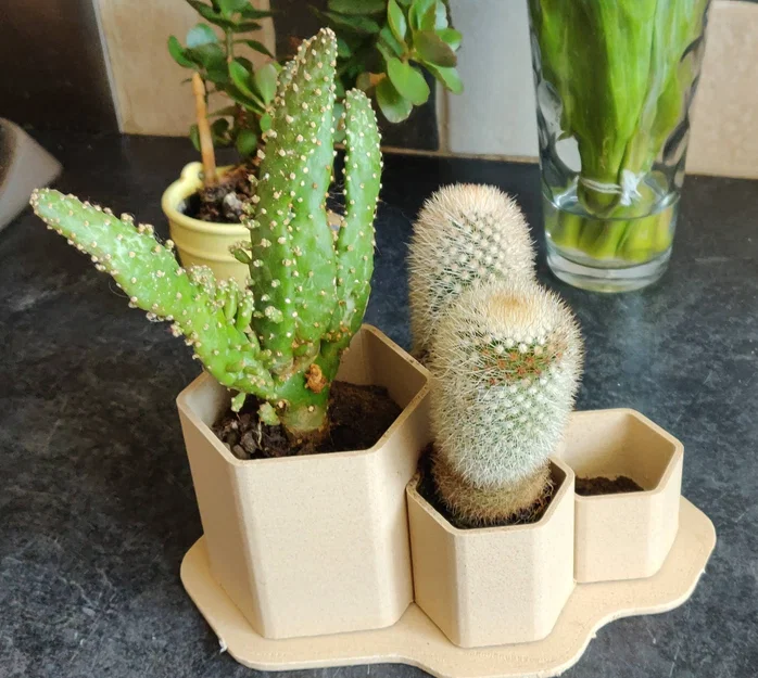 Chậu trồng xương rồng non lục giác tầng nhỏ (Small Tiered Hex Juvenile Cactus Planter Pot) - Image 1
