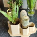 Chậu trồng xương rồng non lục giác tầng nhỏ (Small Tiered Hex Juvenile Cactus Planter Pot) - Thumbnail 1