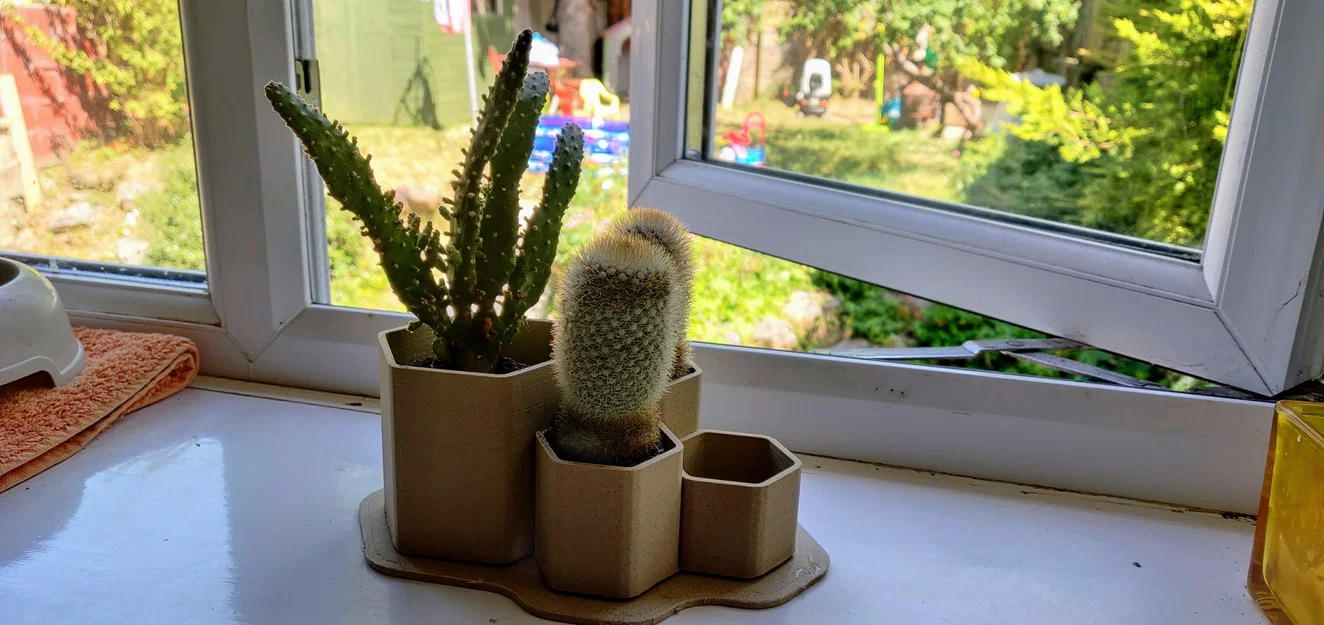 Chậu trồng xương rồng non lục giác tầng nhỏ (Small Tiered Hex Juvenile Cactus Planter Pot) - Image 3
