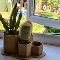 Chậu trồng xương rồng non lục giác tầng nhỏ (Small Tiered Hex Juvenile Cactus Planter Pot) - Thumbnail 3