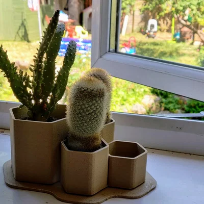 Chậu trồng xương rồng non lục giác tầng nhỏ (Small Tiered Hex Juvenile Cactus Planter Pot)