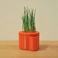 Cốc Trồng Cỏ Mèo (Cat Grass Cup) - Thumbnail 1