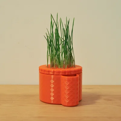 Cốc Trồng Cỏ Mèo (Cat Grass Cup)