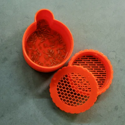 Cốc Trồng Cỏ Mèo (Cat Grass Cup)