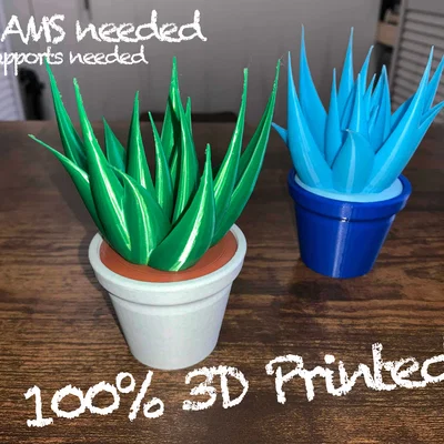 Chậu Cây Để Bàn (In 3D 100%)