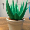 Chậu Cây Để Bàn (In 3D 100%) - Thumbnail 3