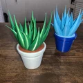 Chậu Cây Để Bàn (In 3D 100%) - Thumbnail 13