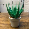 Chậu Cây Để Bàn (In 3D 100%) - Thumbnail 14