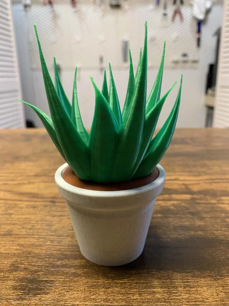 Chậu Cây Để Bàn (In 3D 100%) - Image 16