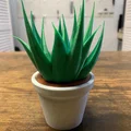 Chậu Cây Để Bàn (In 3D 100%) - Thumbnail 16