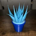 Chậu Cây Để Bàn (In 3D 100%) - Thumbnail 17
