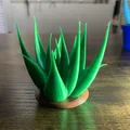 Chậu Cây Để Bàn (In 3D 100%) - Thumbnail 18