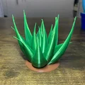 Chậu Cây Để Bàn (In 3D 100%) - Thumbnail 22