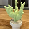Hộp Trang Sức Xương Rồng Low Poly - Thumbnail 3