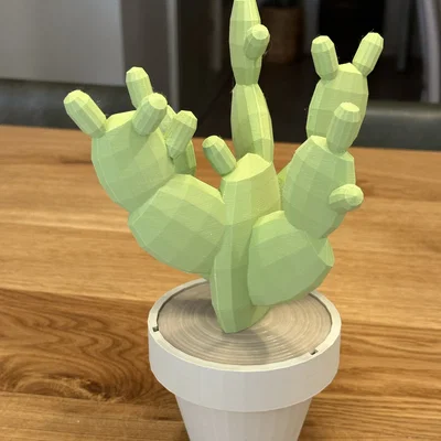 Hộp Trang Sức Xương Rồng Low Poly