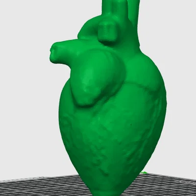 Mô hình trái tim 3D trang trí độc đáo - Heart Model