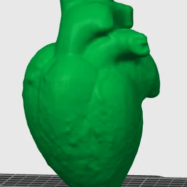 Mô hình trái tim 3D trang trí độc đáo - Heart Model