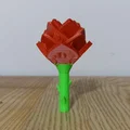 Bông hồng nhỏ (Little Rose) - Quà tặng ý nghĩa cho người dị ứng phấn hoa - Thumbnail 1