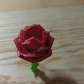 Bông hồng nhỏ (Little Rose) - Quà tặng ý nghĩa cho người dị ứng phấn hoa - Thumbnail 3