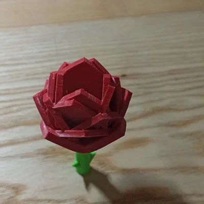 Bông hồng nhỏ (Little Rose) - Quà tặng ý nghĩa cho người dị ứng phấn hoa