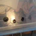 Hộp Chống Ẩm Cho Sợi Nhựa (Filament Dry Box) - Thumbnail 2