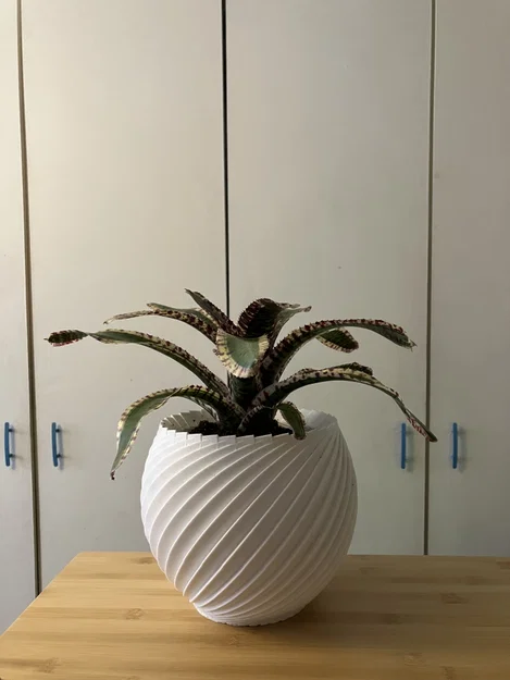 Chậu cây xoắn ốc (Spiral pot) in 3D trang trí nhà cửa cực đẹp - Image 1