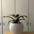 Chậu cây xoắn ốc (Spiral pot) in 3D trang trí nhà cửa cực đẹp - Thumbnail 1