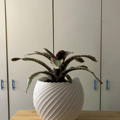 Chậu cây xoắn ốc (Spiral pot) in 3D trang trí nhà cửa cực đẹp
