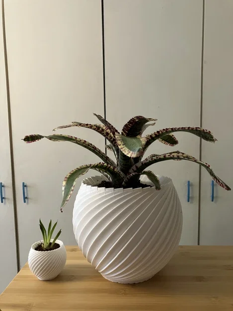 Chậu cây xoắn ốc (Spiral pot) in 3D trang trí nhà cửa cực đẹp - Image 3