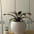 Chậu cây xoắn ốc (Spiral pot) in 3D trang trí nhà cửa cực đẹp - Thumbnail 3