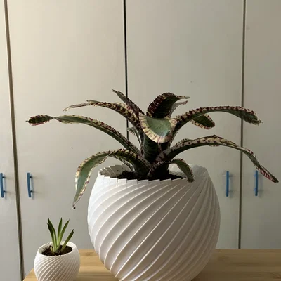 Chậu cây xoắn ốc (Spiral pot) in 3D trang trí nhà cửa cực đẹp