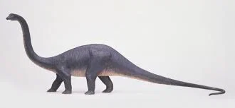 Mô hình khủng long Diplodocus 3D: Tái hiện loài vật cổ đại sống động - Image 1