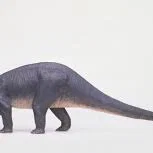 Mô hình khủng long Diplodocus 3D: Tái hiện loài vật cổ đại sống động