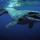 Mô hình 3D khủng long biển Mosasaurus - Chúa tể đại dương huyền thoại